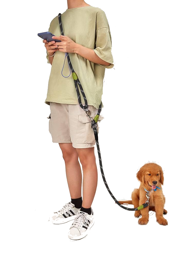 Golden leash dog walking best sale