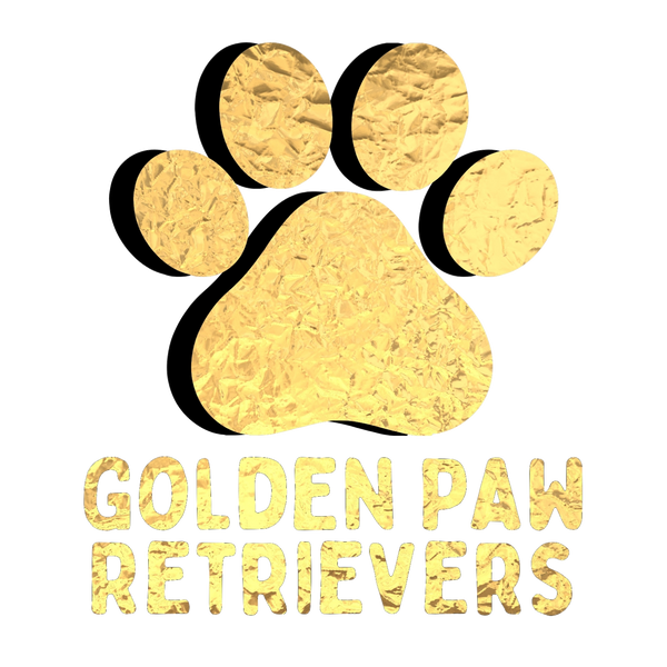 Golden Paw Retrievers