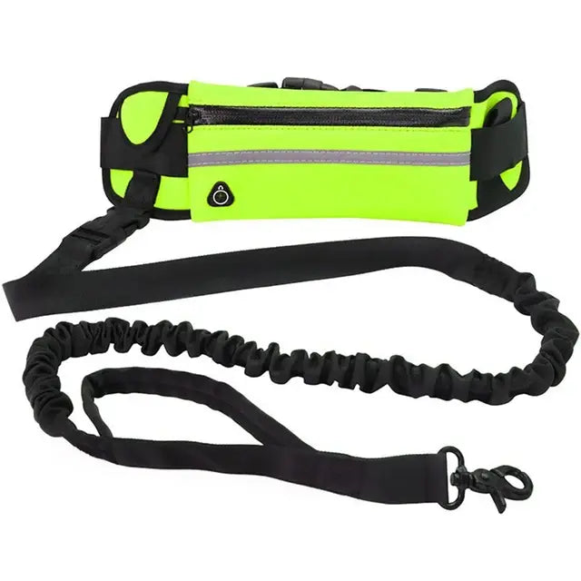 GoldenPaw™ Active & Fit Leash